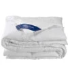 De Witte Lietaer Dekbed Ducky - Hotelmaat - 260 X 240 Cm - Donsvulling -Woonaccessoires Verkoop 1607299189